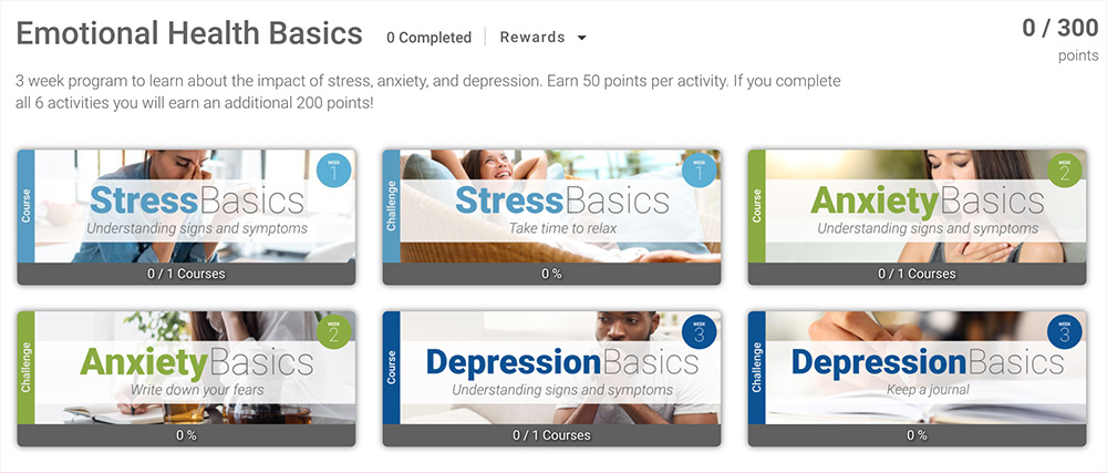 Screen shot of emotional health basics page