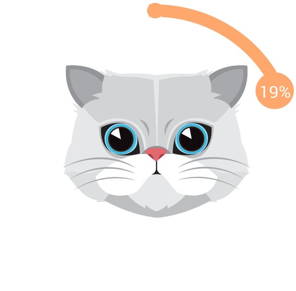 WellRight - Cats Are Still Okay By Us