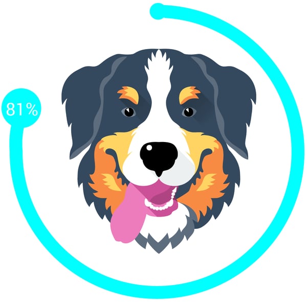 WellRight - We Love Dogs
