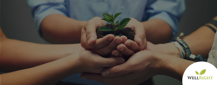Do Wellness Programs Work?