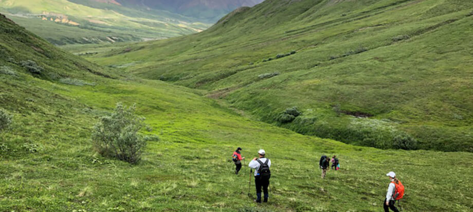 How to Create an Ecosystem of Engaged Employees and Happy Hikers