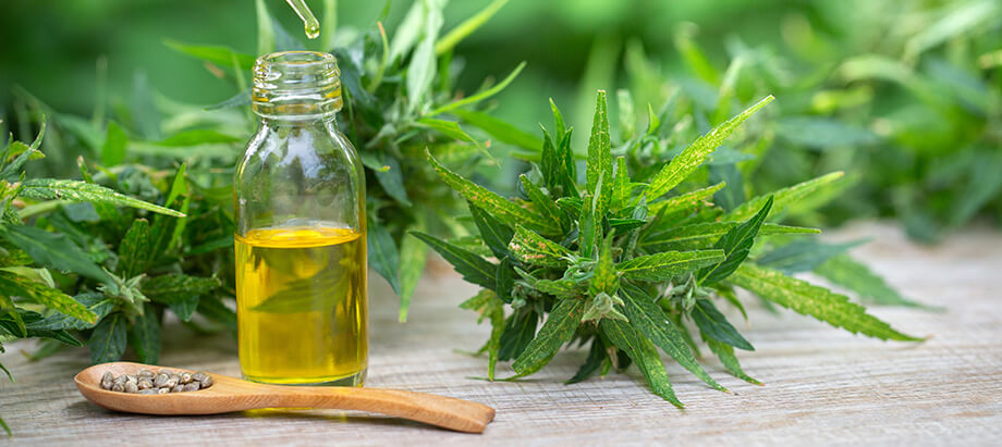 Marijuana and Health: What Employers Need to Know