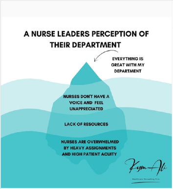 A nurse leaders perception