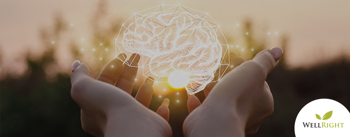 Recharge Your Brain and Your Business for Stress Mastery and Sustained Performance