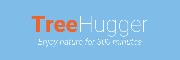 Tree Hugger