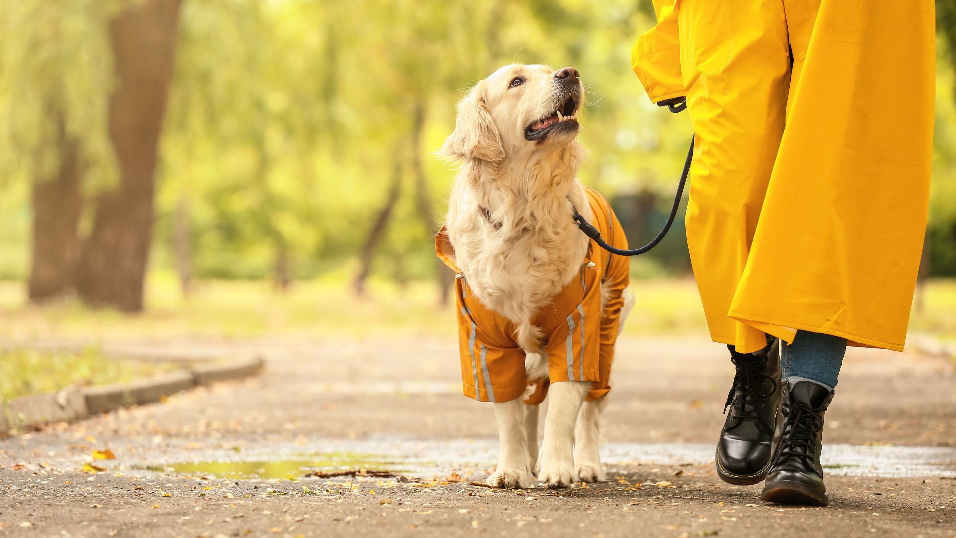 Fall Into Better Habits: 5 Micro-Activities to Rescue the Year-End Slump