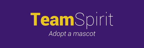 Team-Spirit