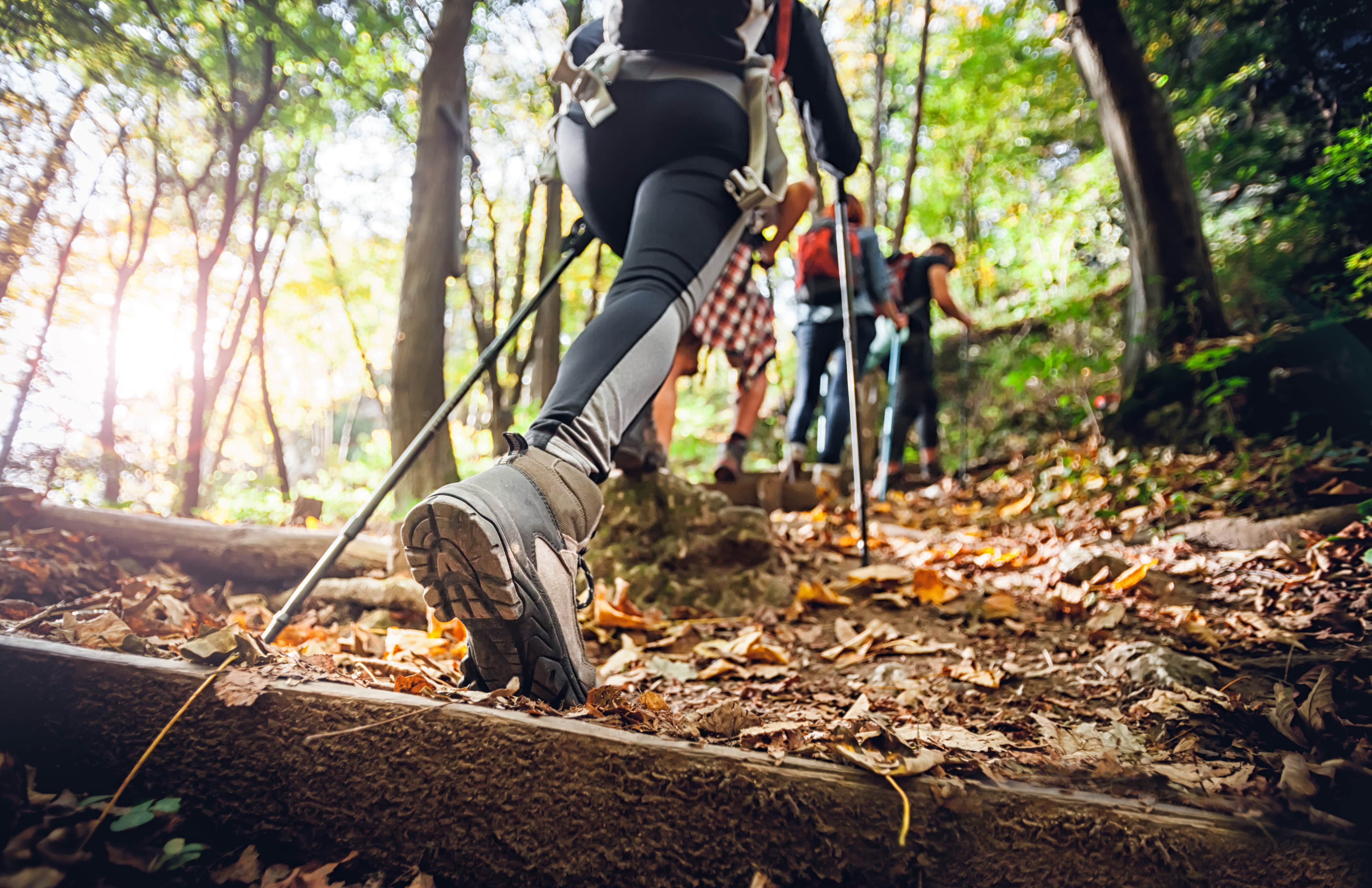 20 Fall Wellness Activities for Employees